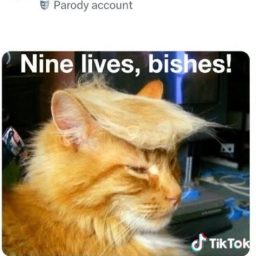 45df3a5d96ea98048436116942bd97d4.jpg