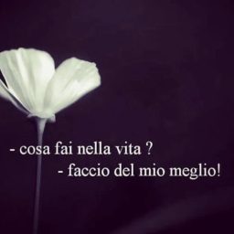 95a27966ba8b3f8ae87e20ebdf4a54f7.jpg