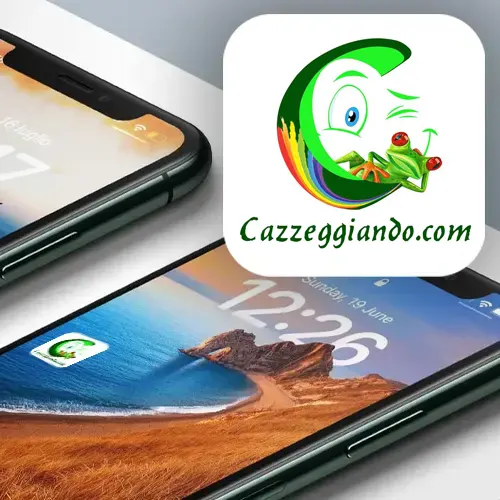 Cazzeggiando app